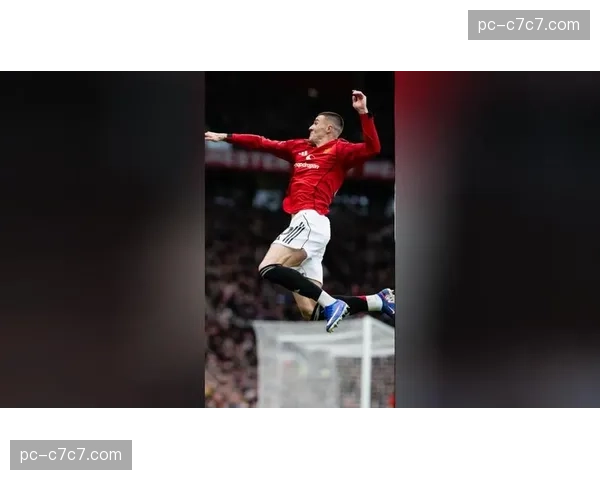 老将里程碑，汉达诺维奇替补登场完成意甲第600次出场